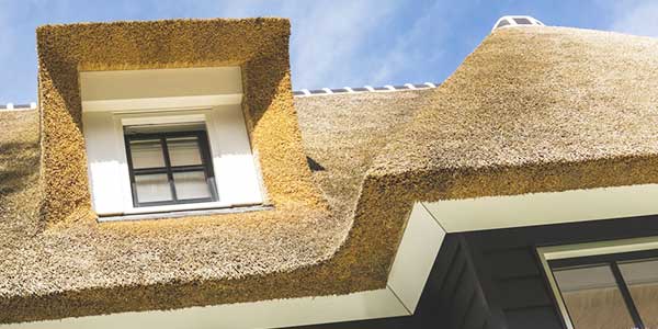 Een rieten dak als dakbedekking