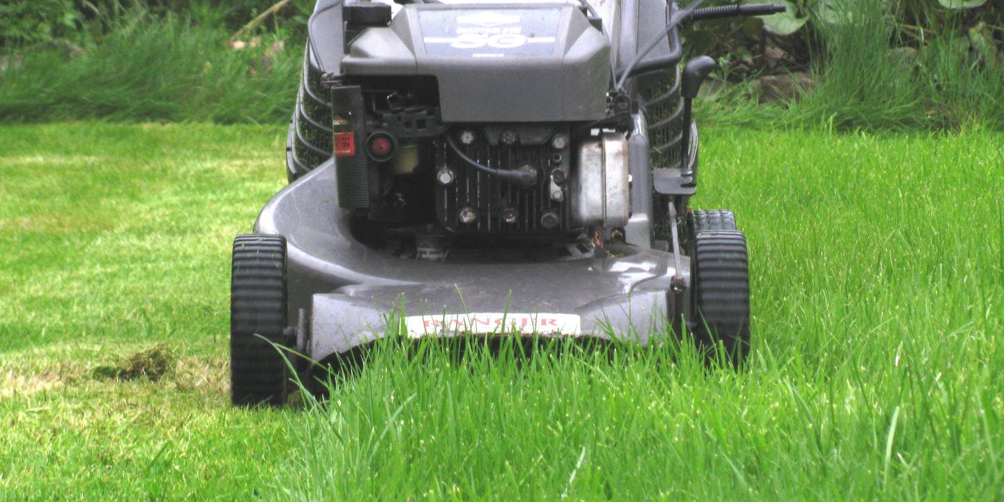 wanneer eerste keer grasmatten maaien @city