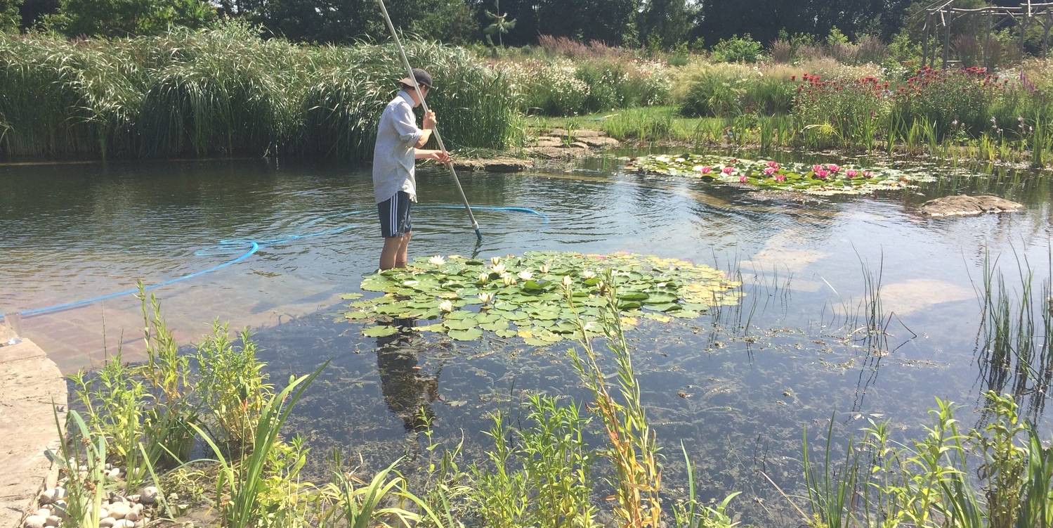 onderhoud zwemvijver @city