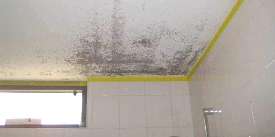 schimmel in badkamer @city