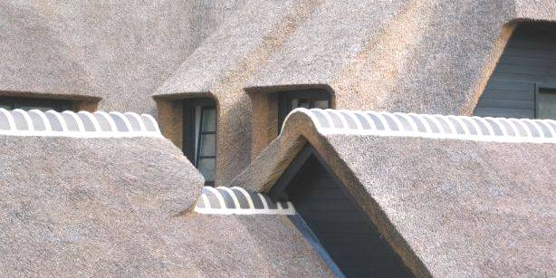 nokafwerking bij plaatsen rieten dak