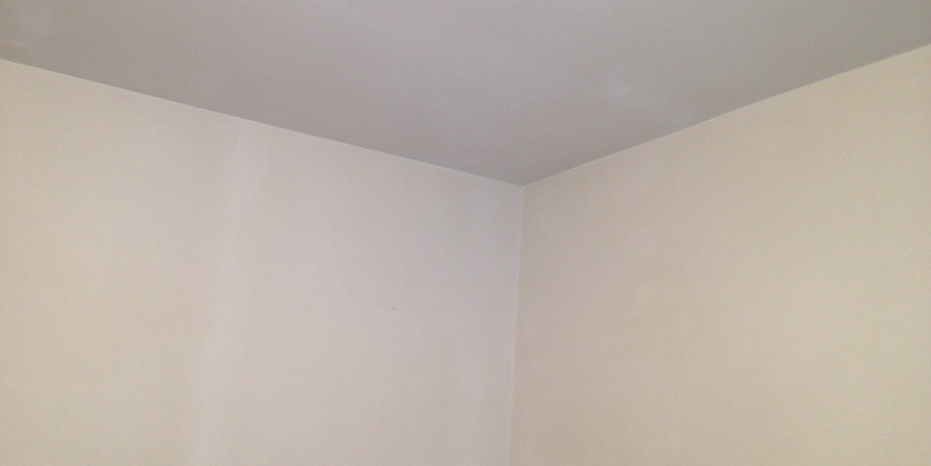 behangklare pleister