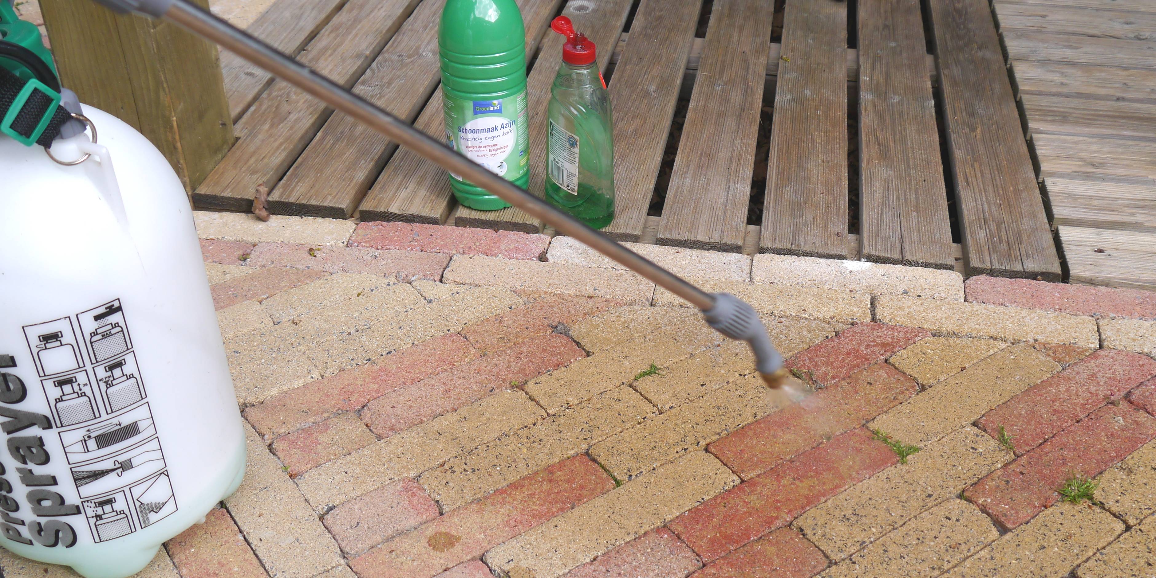 oprit biologisch reinigen