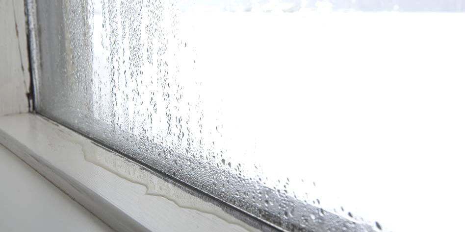 schimmel door condensatievocht @city