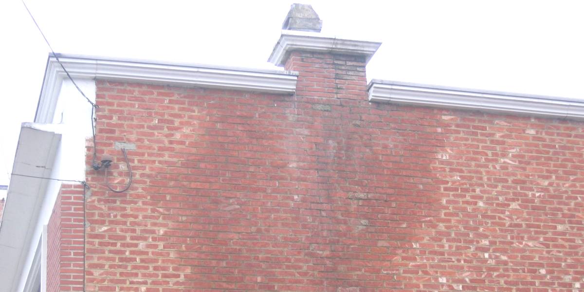 schimmel door doorslaand vocht @city