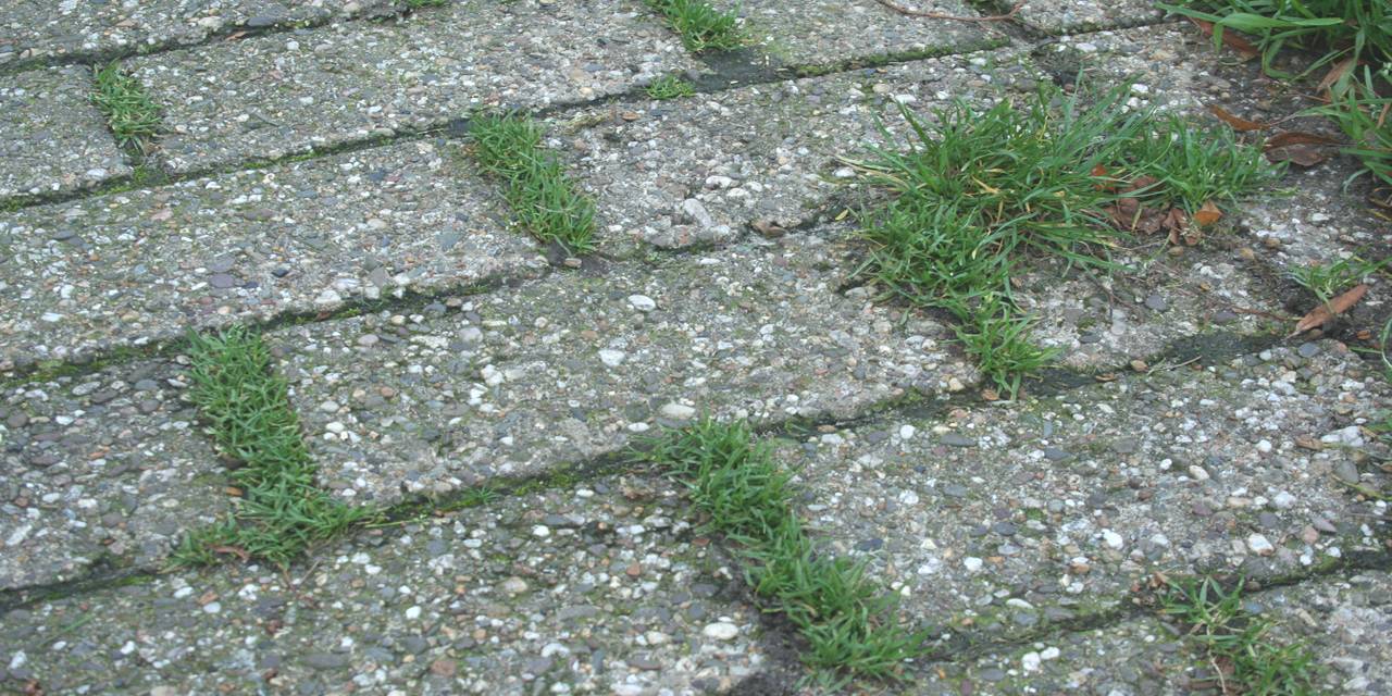 onkruidbestrijding oprit