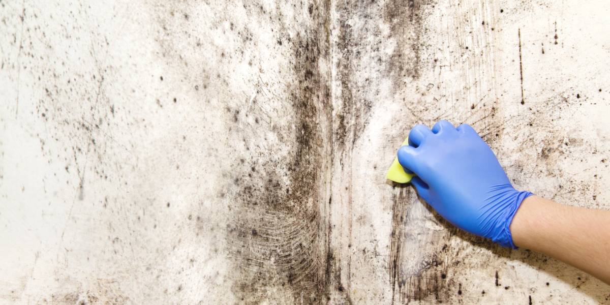 gevolgen van opstijgend vocht