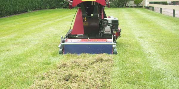 Gazon laten verticuteren