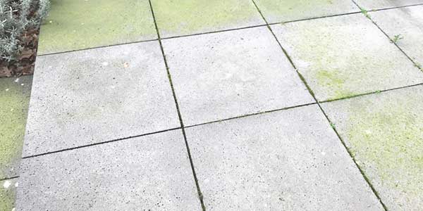 Tuinpad laten reinigen