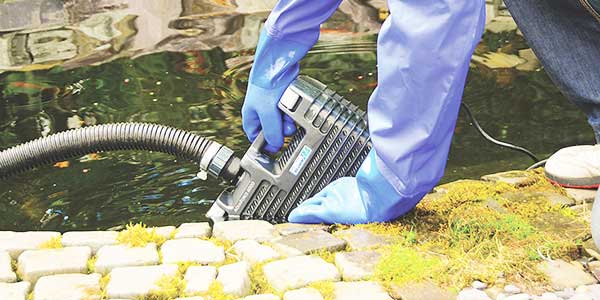 vijver laten onderhouden