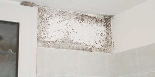 Vochtproblemen: Condensatievocht