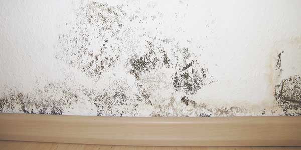 Vochtproblemen: Opstijgend vocht