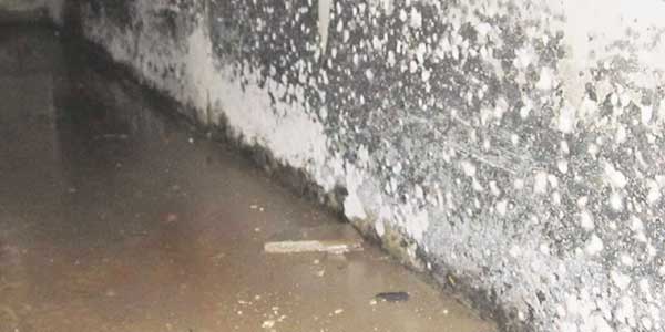 Vochtproblemen: Vochtige of natte kelder